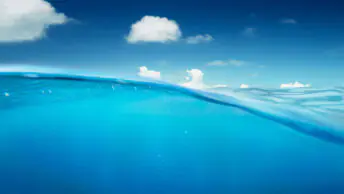 misalignment