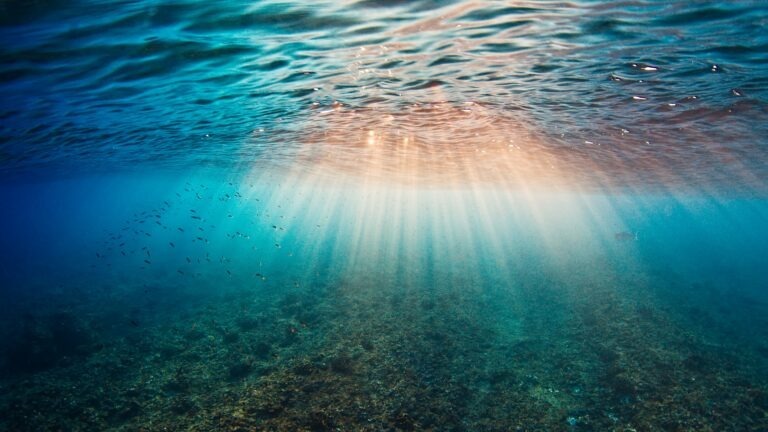 The Optimism Undercurrent: When Toxic Optimism Blocks Hard Truths