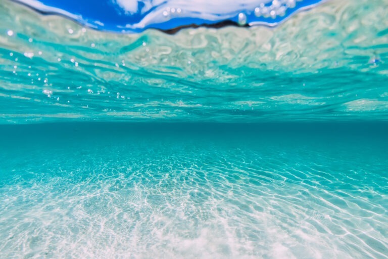 The Relevance Undercurrent: The Fear the Company Doesn’t Need Me Anymore