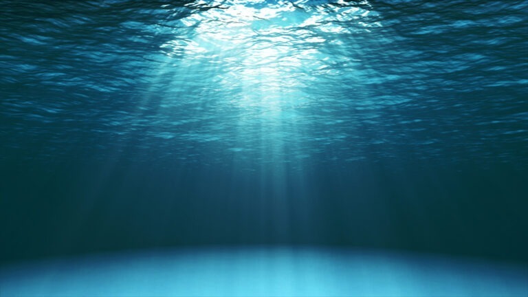 The 5 Undercurrents of Executive Leadership Challenges
