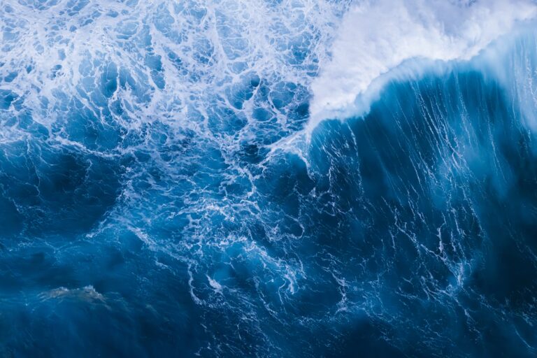 The Weight Undercurrent: Why Leaders Think They Have to Do It All